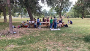 insertion sociale et culturelle : tout le monde au parc sur les tables de pique nique