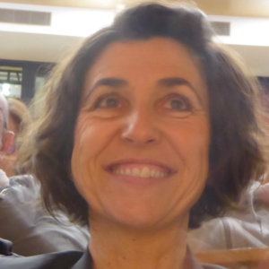 Vice-Présidente Karine Peronnet